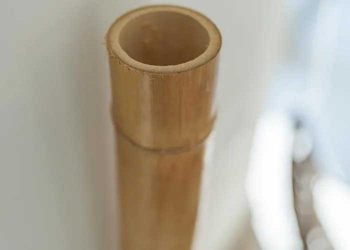 Seaside Luxury Apartment Nikiana